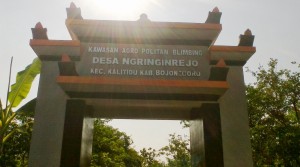 Bojonegoro, Dari Buah Bintang Menuju Kota Bintang